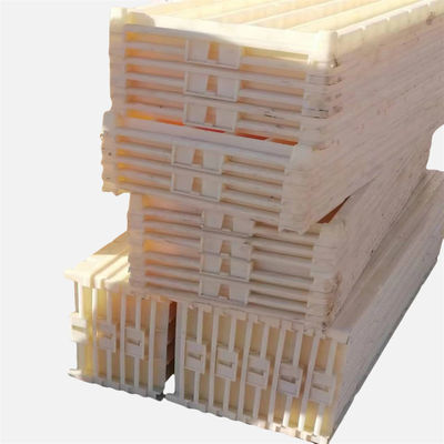 Diamond Core Drilling Plastic Core Tray Box for Bq Nq Hq Pq Core Sample